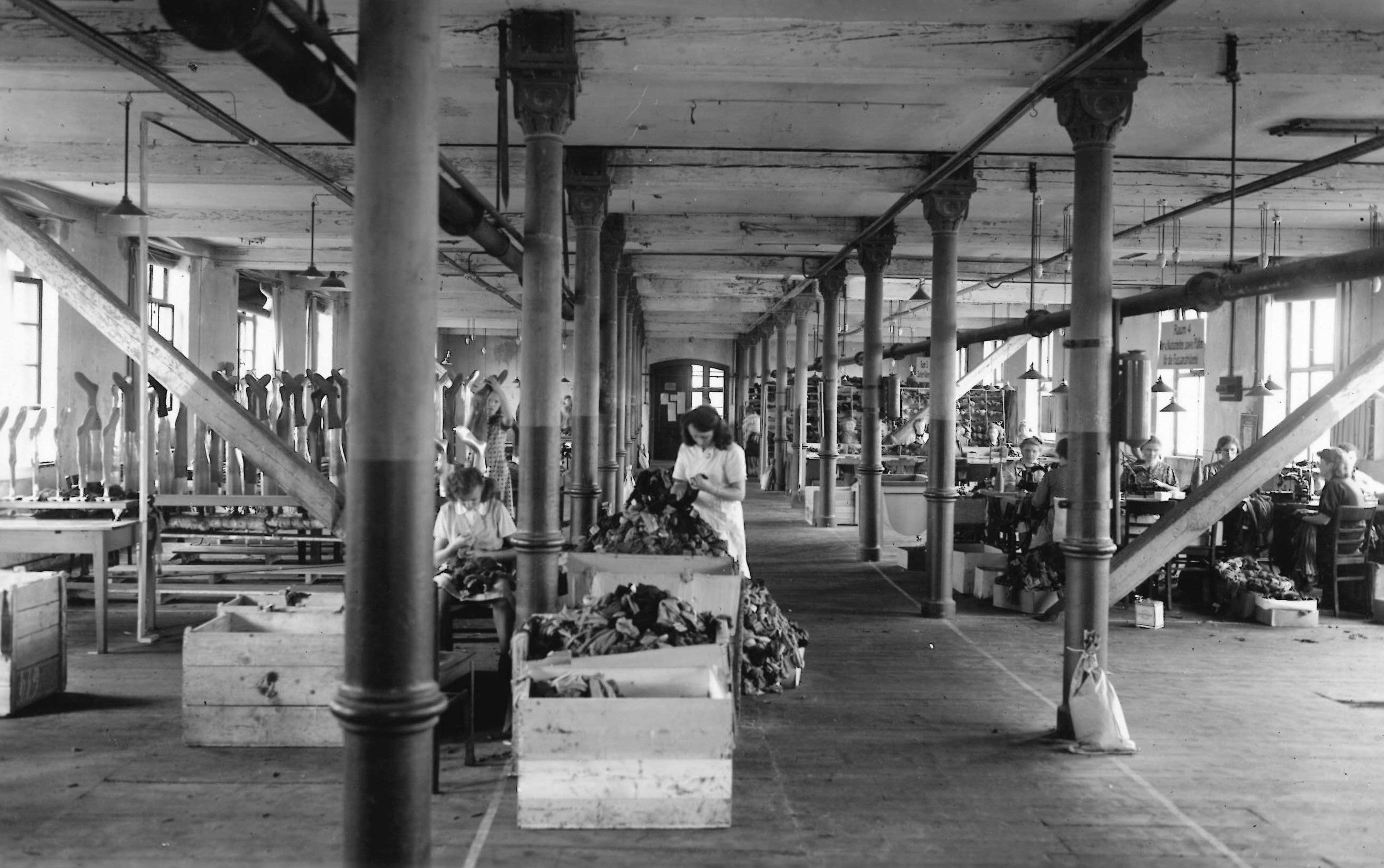 Haflinger工場での製造風景（歴史写真）